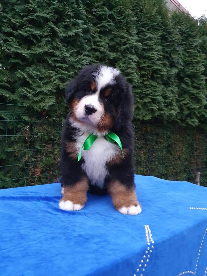 fb img 1609111090809