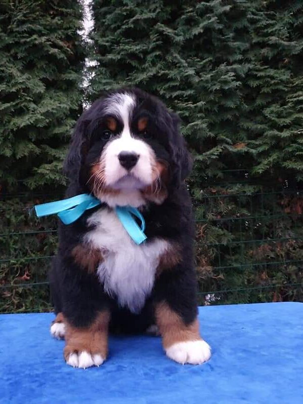 fb img 1609111109870