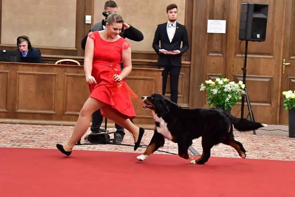 fb img 1642689992256