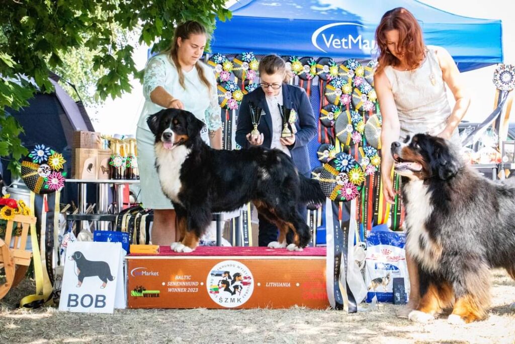 fb img 1689784756896