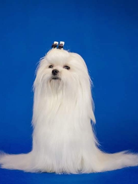 fb img 1768383723510hb