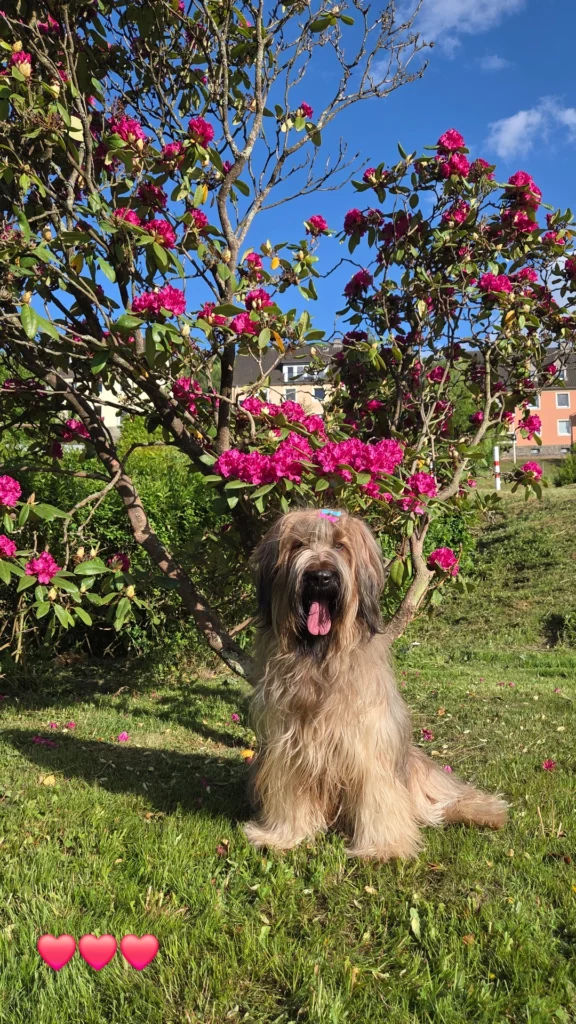 img 20250522 190609 521