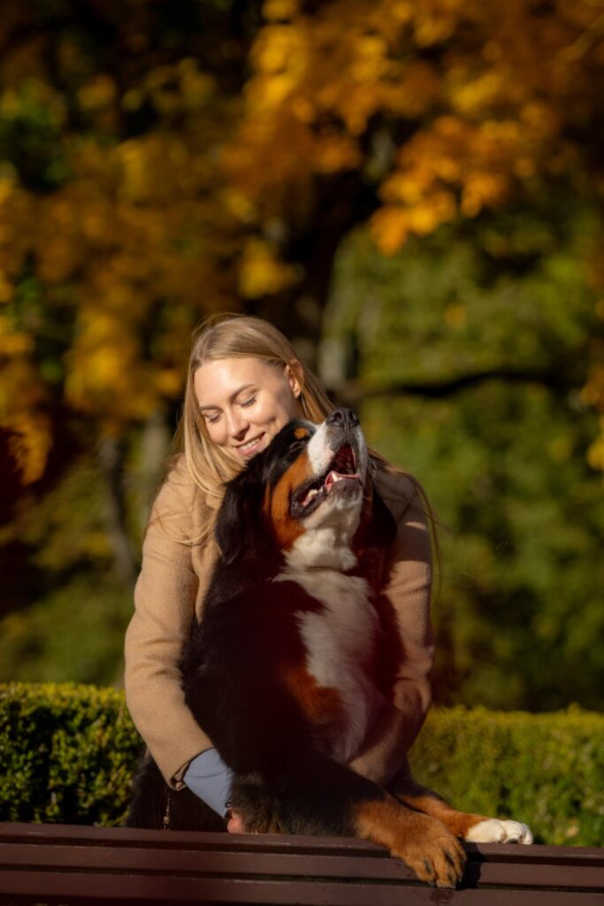 messenger creation 01f9f973 52c0 4753 be16 f6bd4b2f0bc2