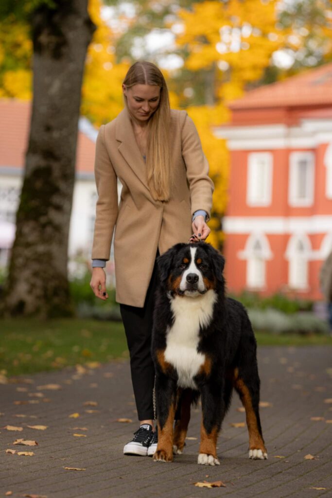 messenger creation 09fee02f 0167 4ffc 8f65 0ab355136893