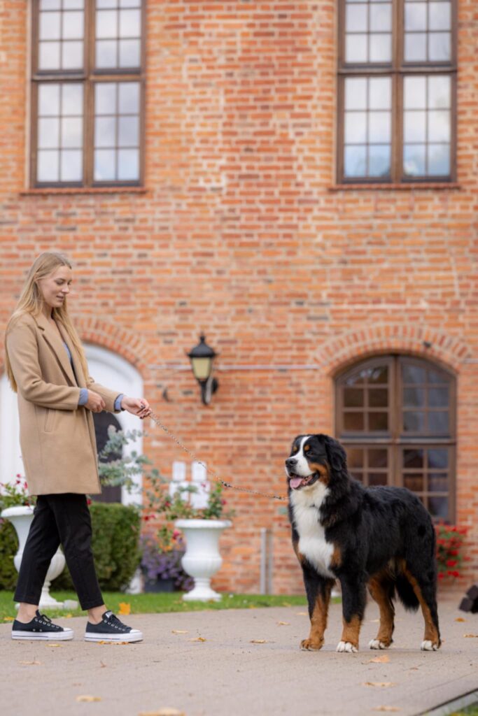 messenger creation 2133ac2e f335 450f 8e51 bc28b35287fa