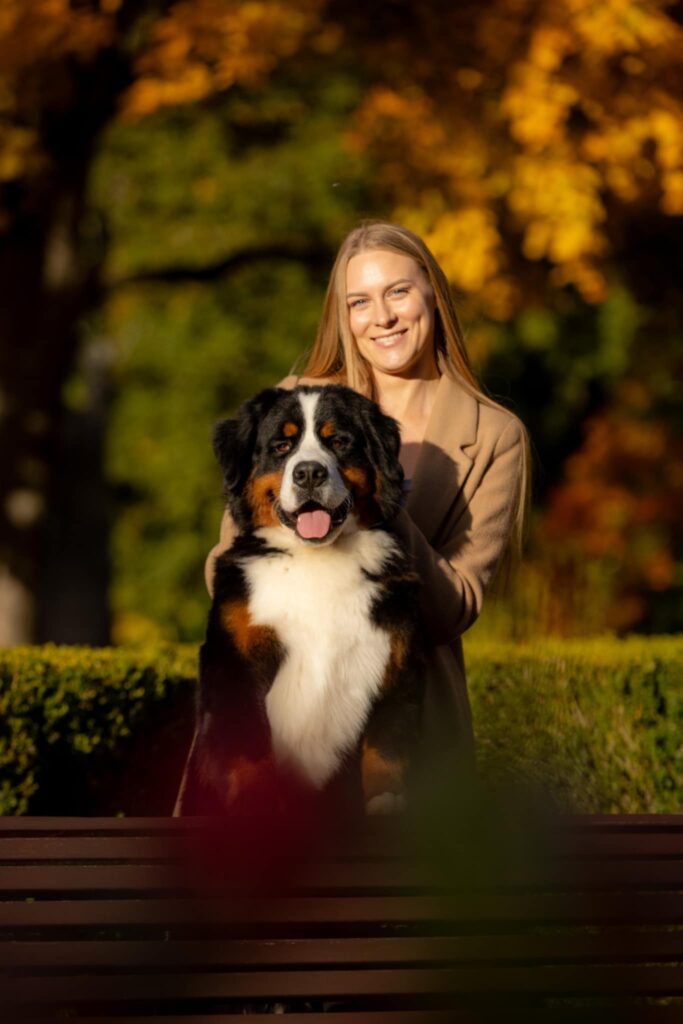 messenger creation 49d7bb07 642a 4cf8 925d bf8bdae6b75e