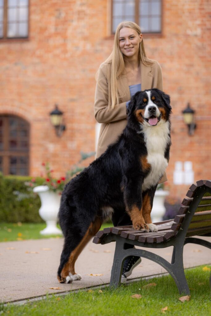 messenger creation 699eaed7 f222 4fcd 9c97 c5e50f59d630