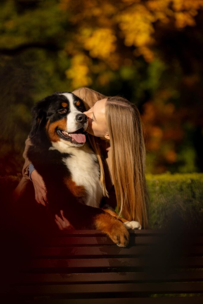 messenger creation 7bd3de5a c390 404d a201 e9a7a36b6354