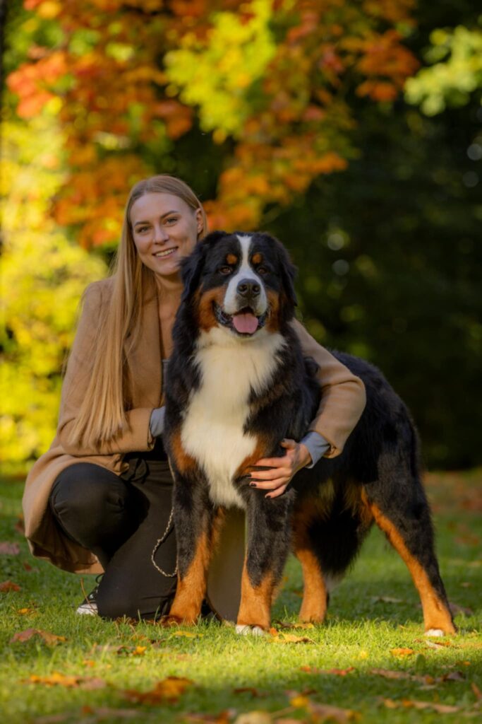 messenger creation a3168c6d fe7c 402c 864c c7f628a07ea3