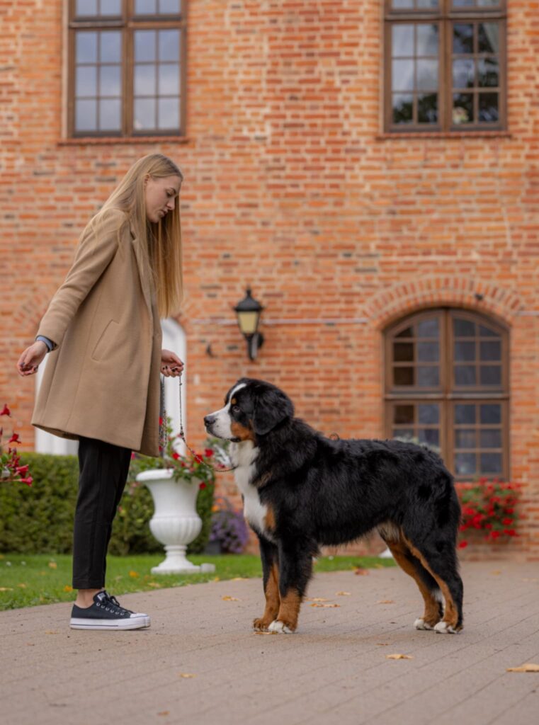 messenger creation a5d6d6ac 1afe 4d55 baab 9f13f05eb482