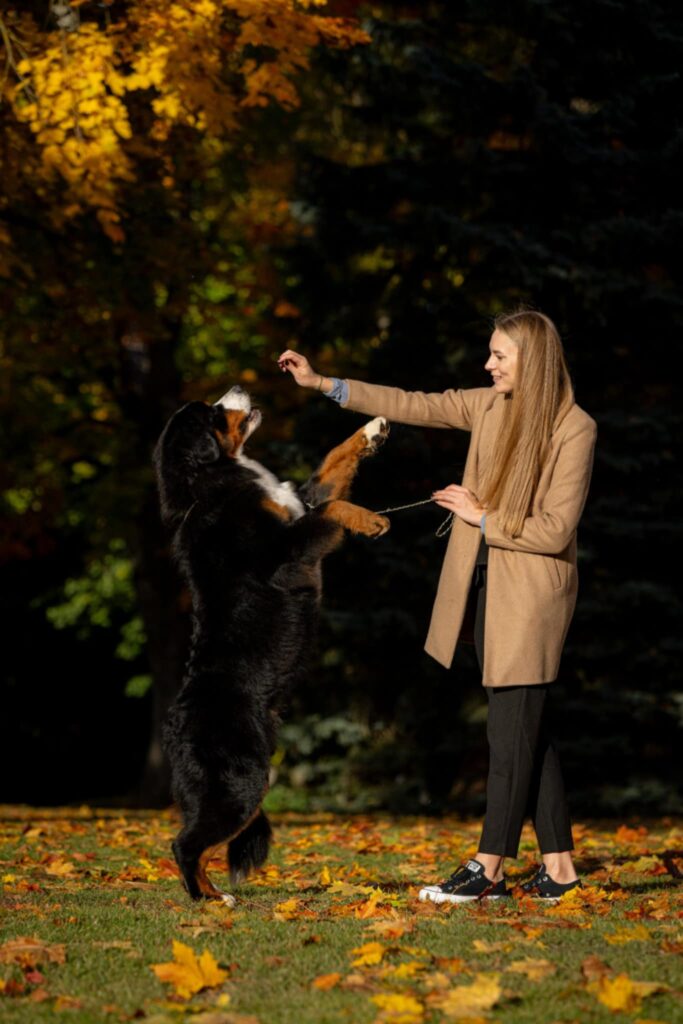 messenger creation b932891f 1d12 4aa6 bb00 a827b8c6fa35