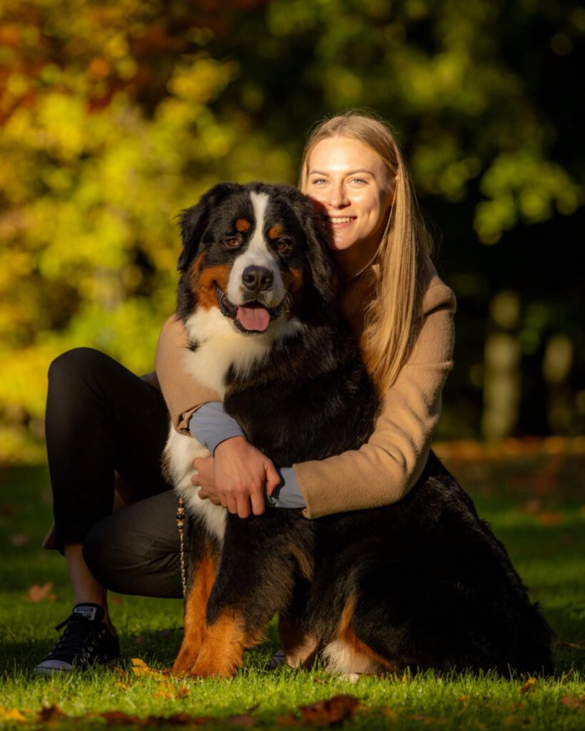 messenger creation bcca5549 ff2f 4012 9ce9 155bfcf09d61