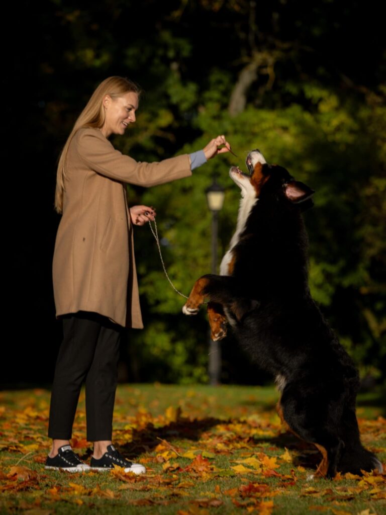 messenger creation d0367324 39c6 4bb3 881f 8037a3eea7b4