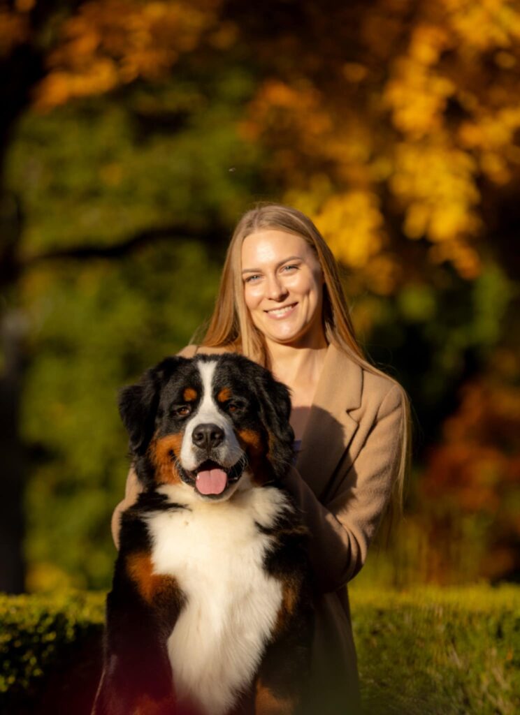 messenger creation d213e3fd 50cf 4327 ad45 fee51837d85b