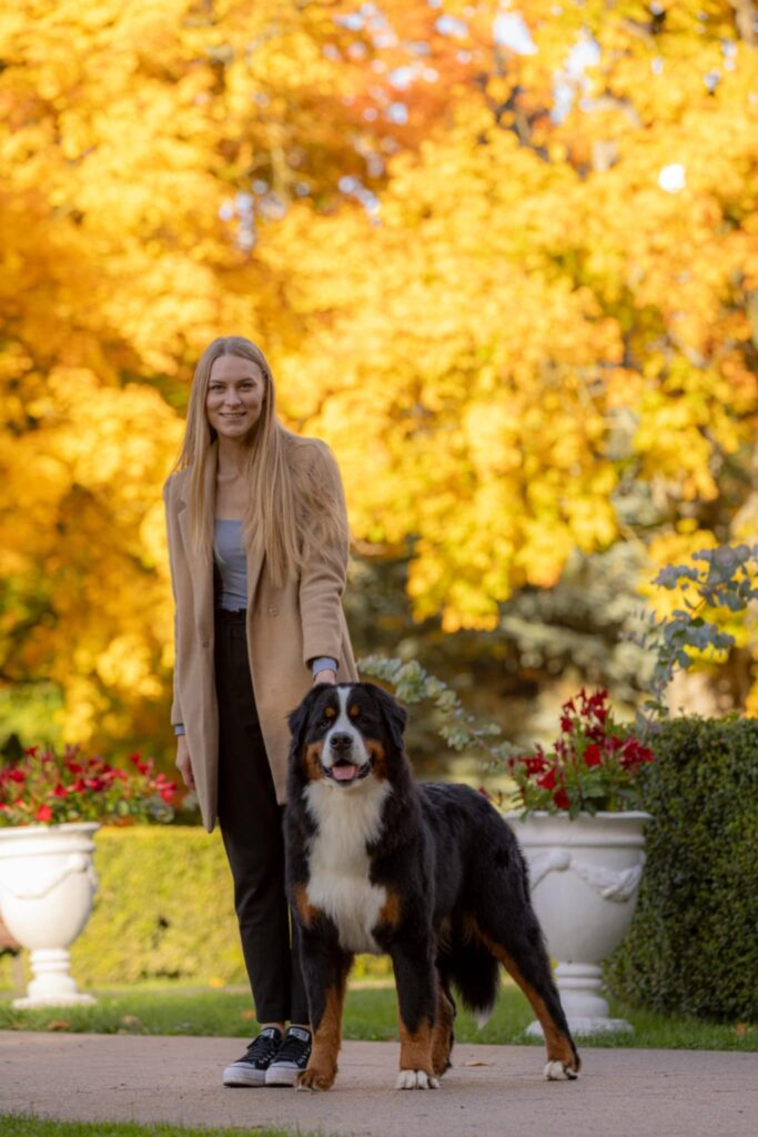 messenger creation d8742210 5221 47c0 94cb 8b3919429be6