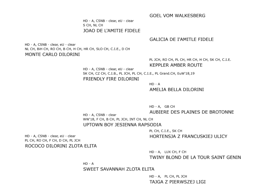 sequana dilorini pedigree