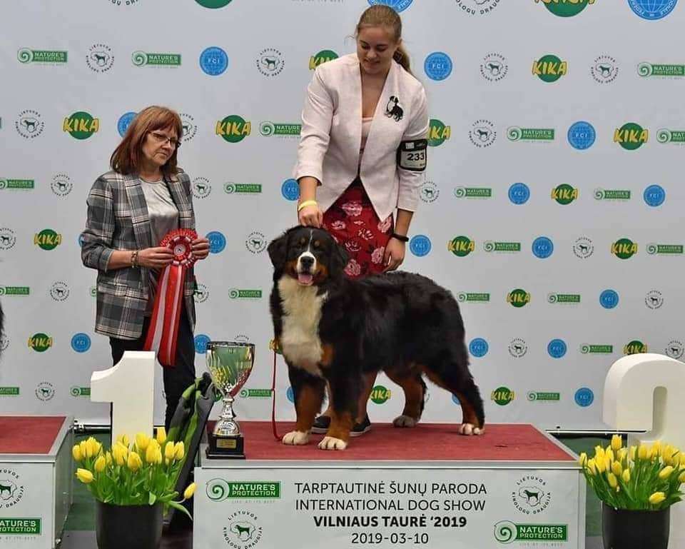 received 1085266808773994