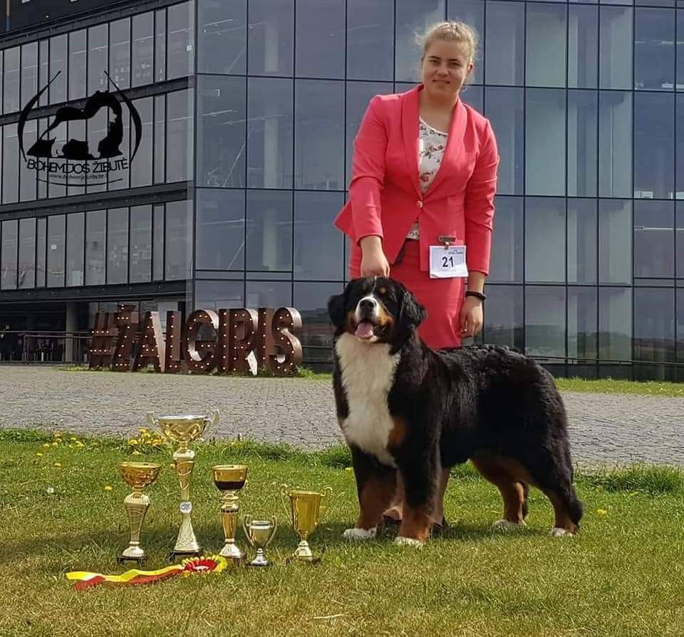 received 1095504657770631