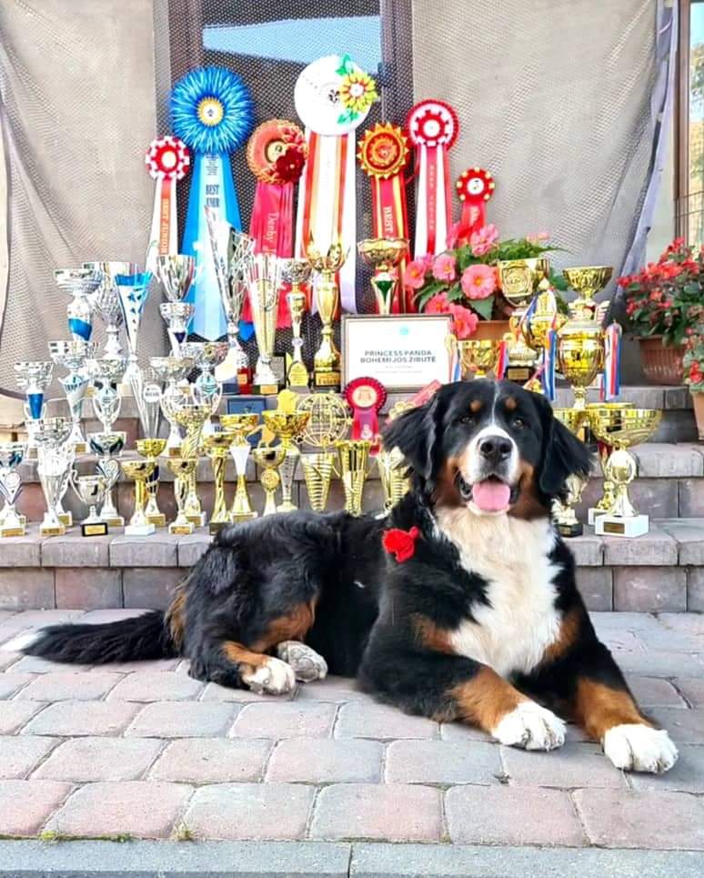 received 3314682155478190