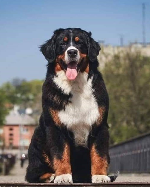 received 767253094545419