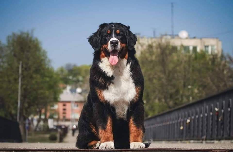 received 767253094545419