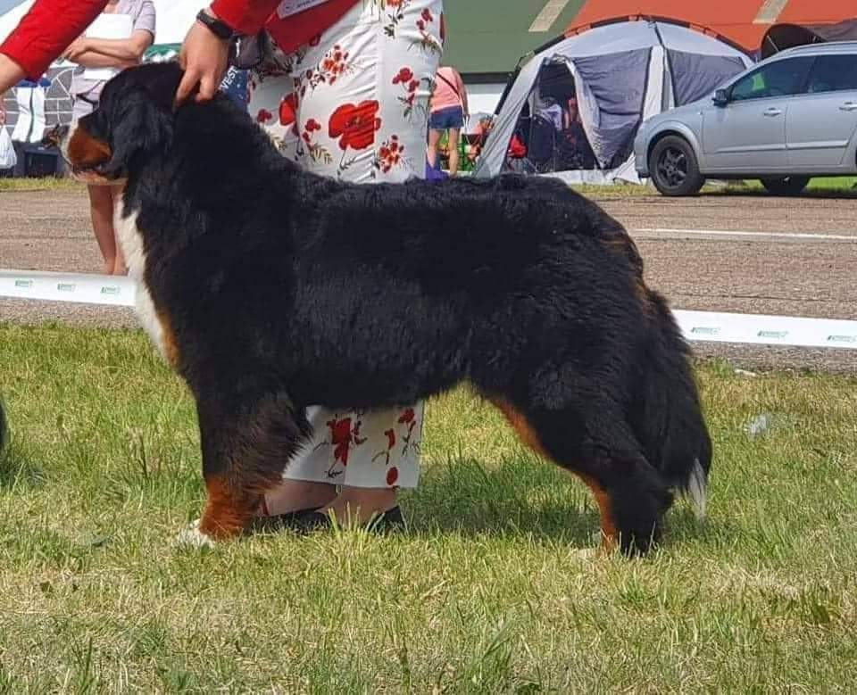 received 771225617538528