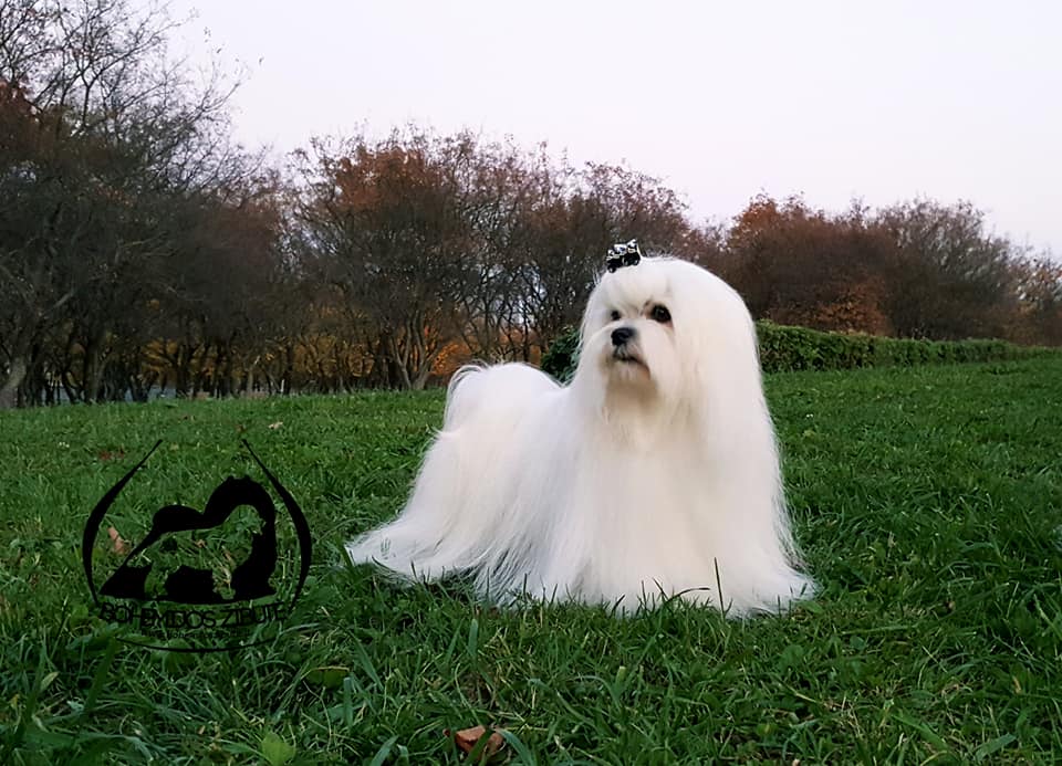 44065477 1930191400406801 2458575967564595200 n