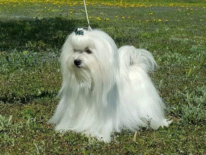 Čempionai 47036925 1926934230753304 1010638871702011904 n