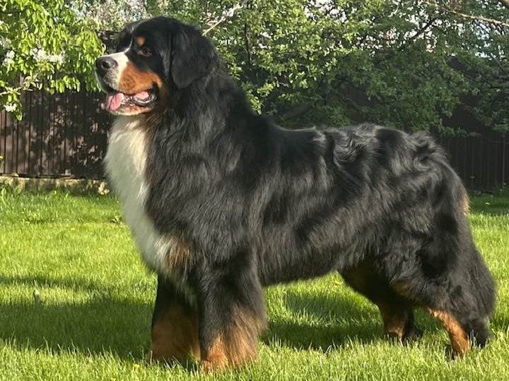 Čempionai 486516233 3975122482734684 141670326242040379 n