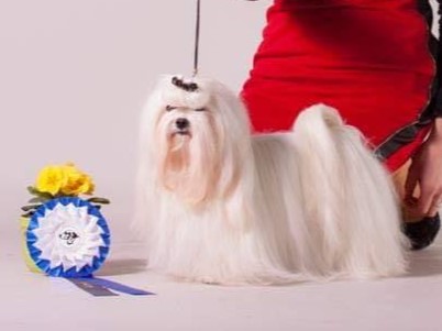 Čempionai 48975117 1974408946005832 5585606171038842880 n