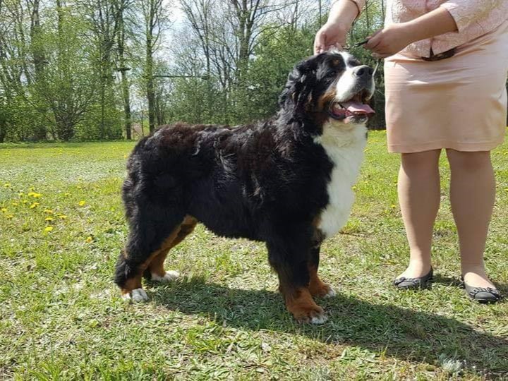 48981220 1974414476005279 6574766684387672064 n