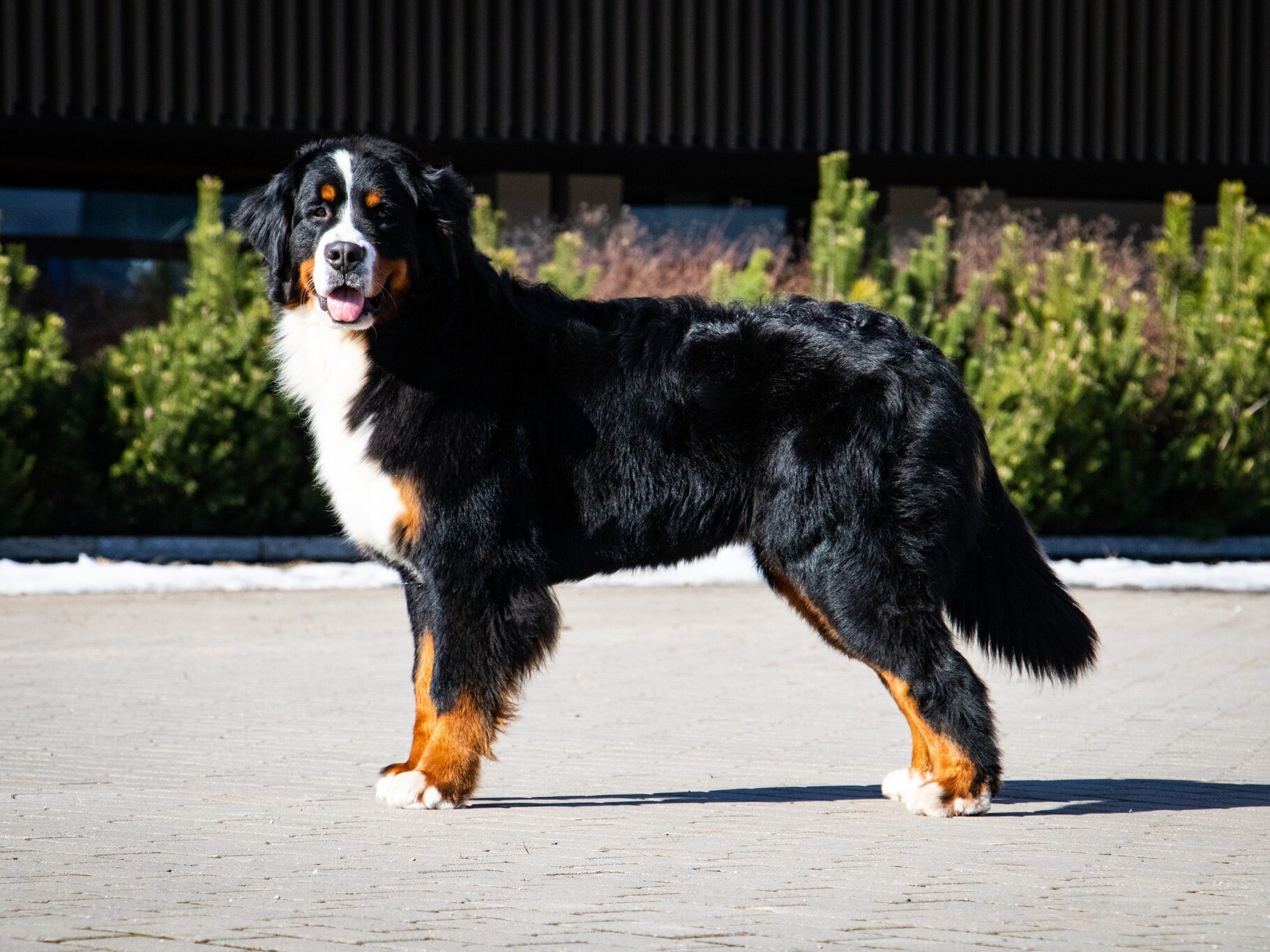 Čempionai 489916934 1258363045831558 3951484427418756275 n