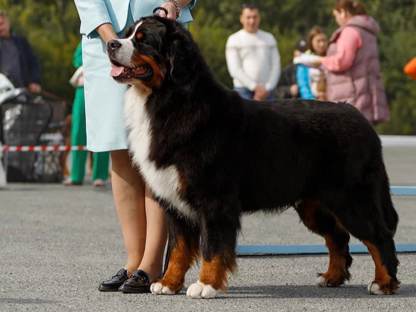 Čempionai 490179776 9259395990850484 3932663565366094364 n