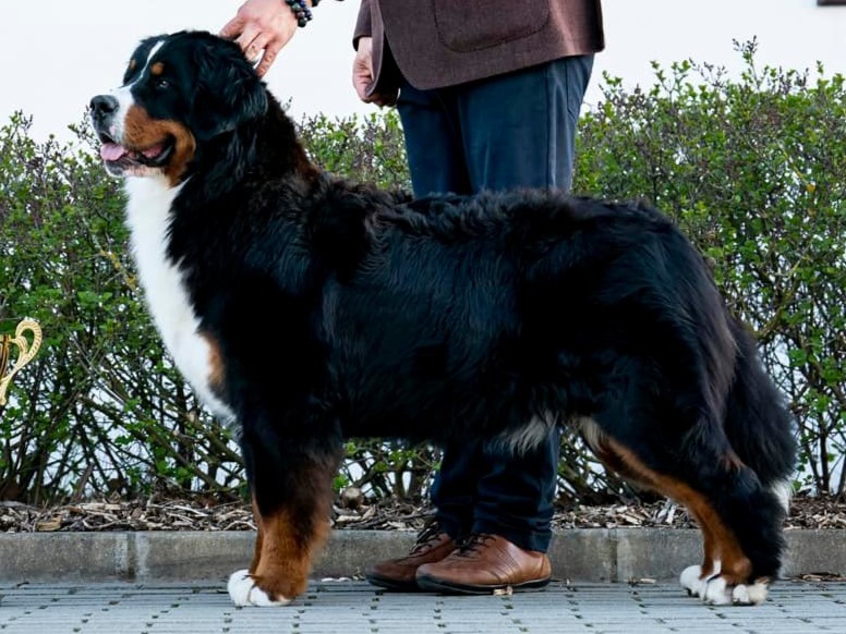 Čempionai 490704593 9830342253665769 997171380809549077 n