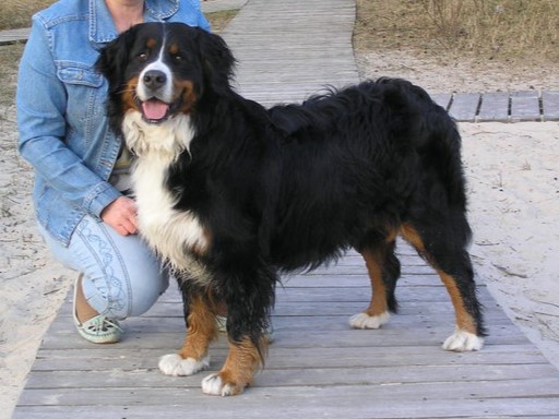 Čempionai 494183826 29839869038960082 8402126594442744827 n