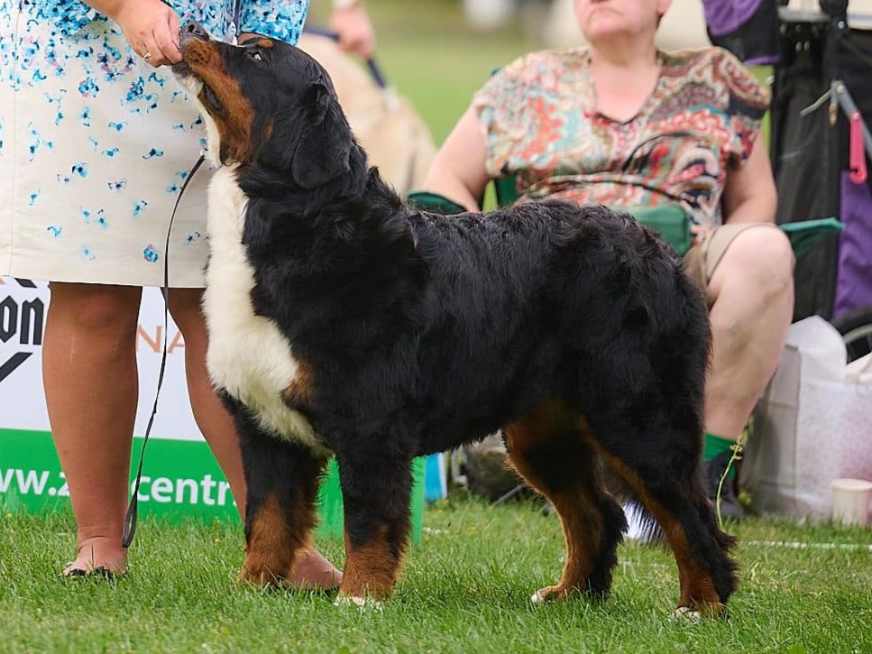Čempionai 497696787 24234991969441662 1239344549545902012 n