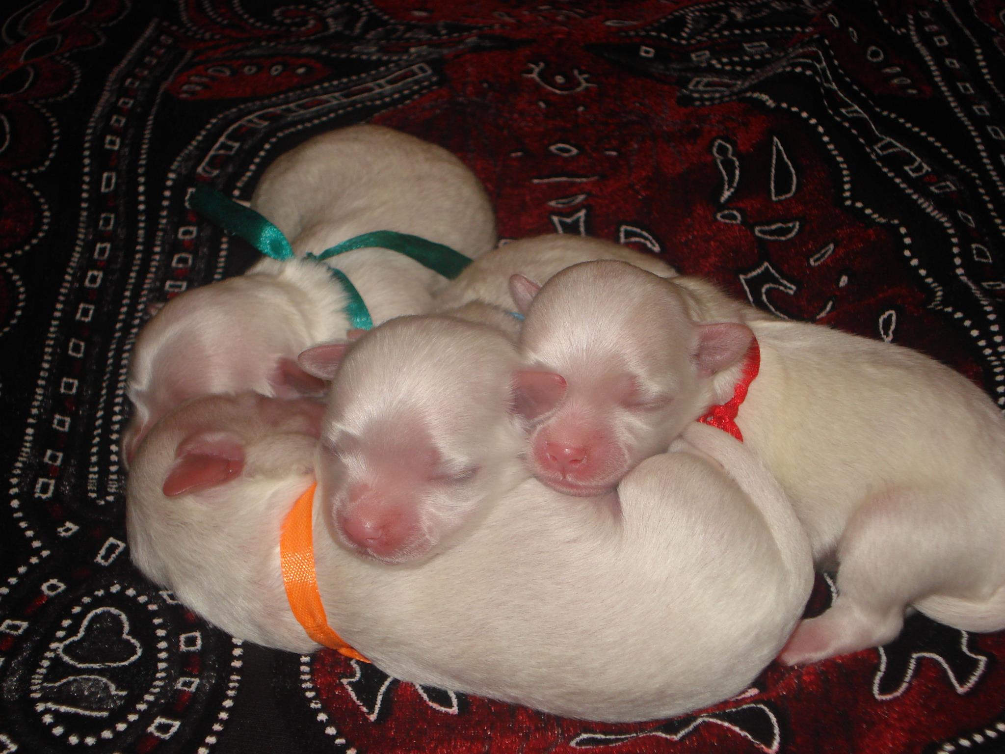 502500441 9934835459942315 9208843841880788944 n