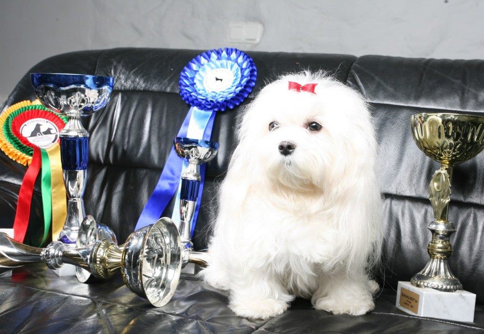 503755268 9987254278033766 7810122370330516767 n