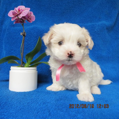 505149841 9991868484239012 6375724198747549178 n