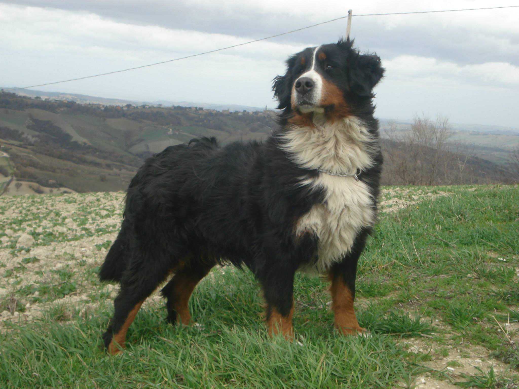 505355758 10017370105022183 4374838411251074375 n