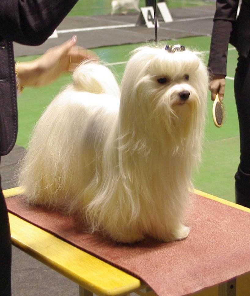 505386592 9987254268033767 8722627035694869277 n