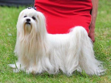 505387603 9987253291367198 8598777328709145803 n