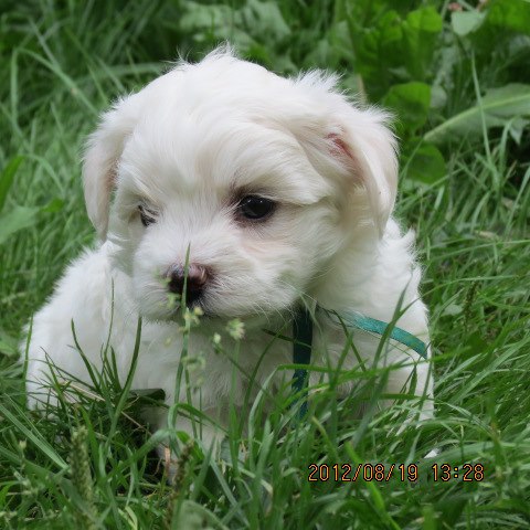 505560301 9991868534239007 8162489056246445563 n