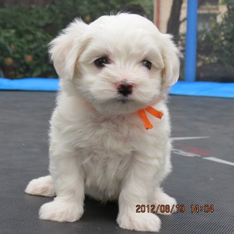 505729072 9991868424239018 7129647062751097216 n