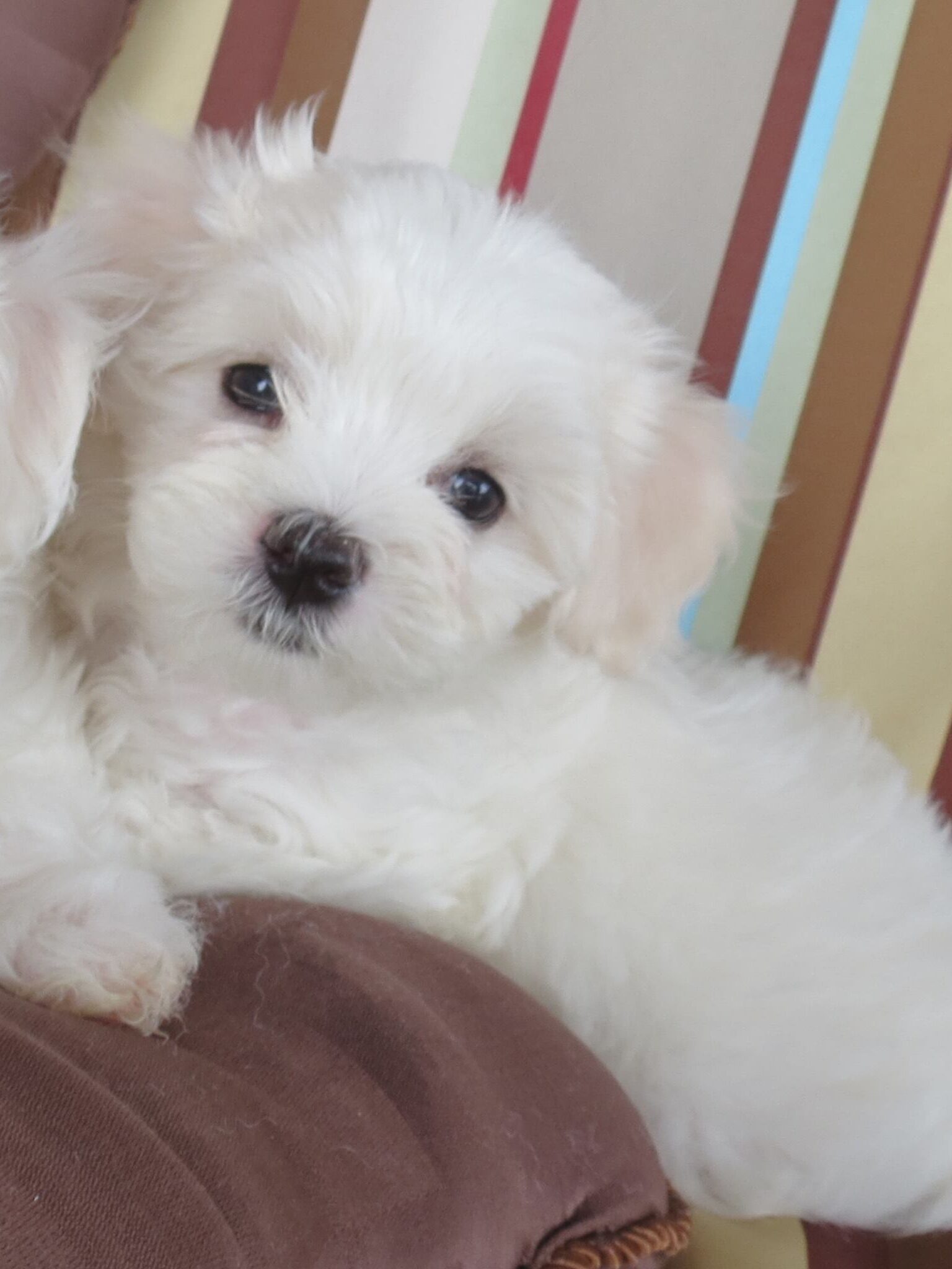 506705064 10026509147441612 4893594664825949350 n