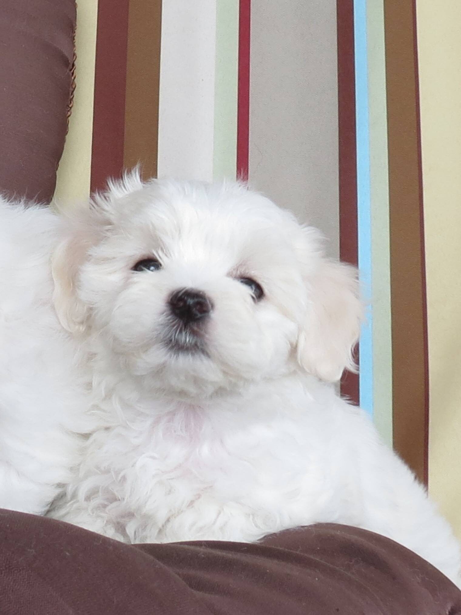 506722671 10026508800774980 8990606431716708599 n