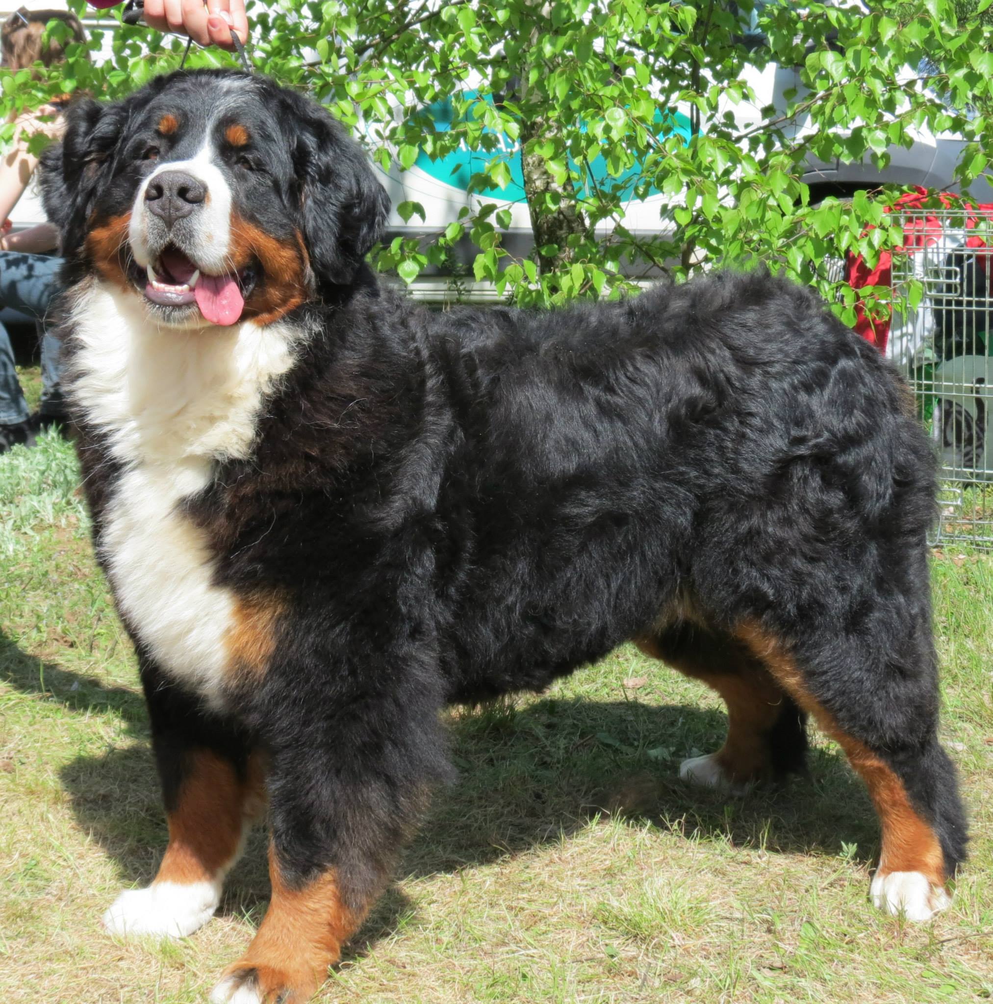 510343807 10094806560611870 1194211667099378962 n