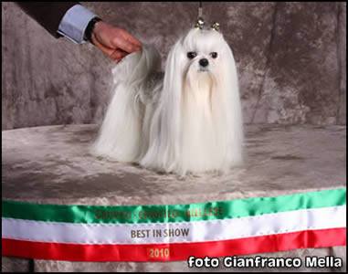 510484685 10077497452342781 7609569137105469439 n