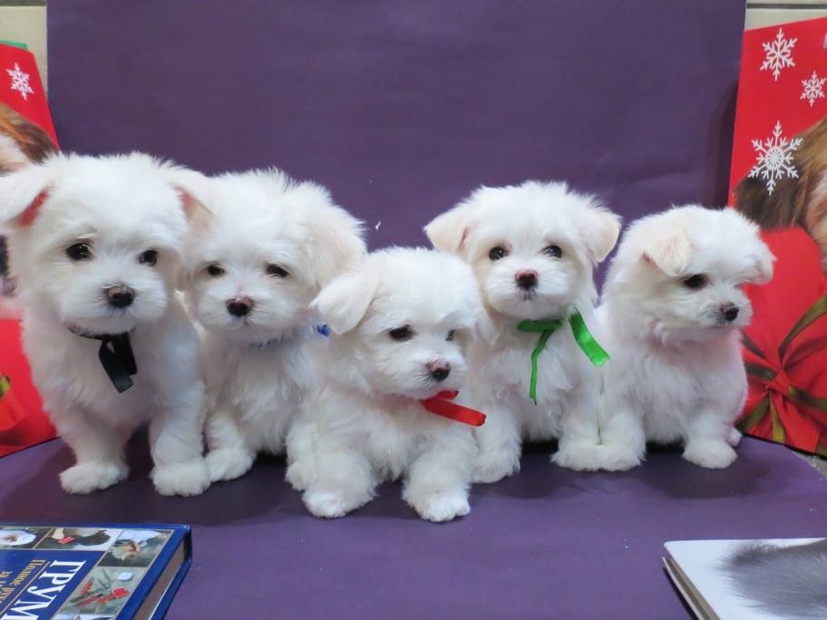 510504032 10084940194931840 910086492201202069 n