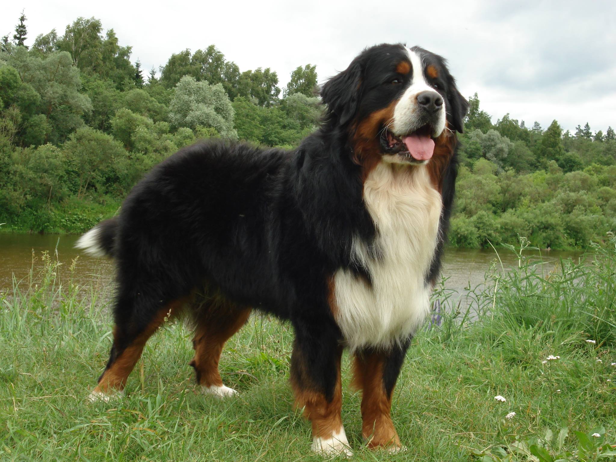 511920793 10097268010365725 4565789316193558426 n